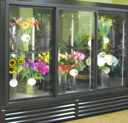 garden floral shop cash and carry flowers