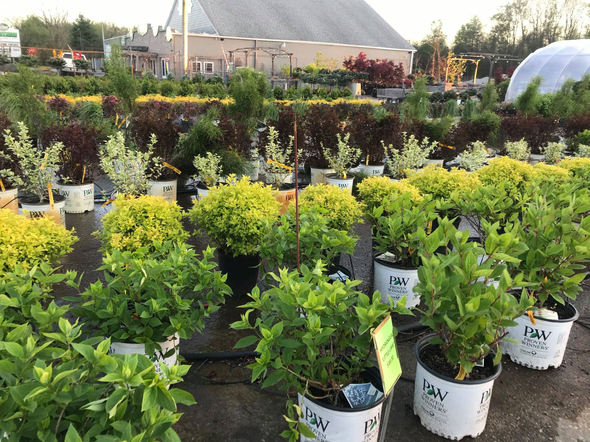 Metzger Landscaping Garden Center nursery plants