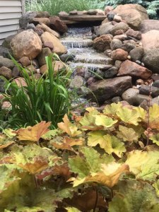 Metzger Landscaping water garden features